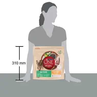 Sausasis šunų ėdalas PURINA ONE® MINI/SMALL ACTIVE, sudėtyje gausu vištienos ir ryžių