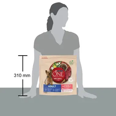 Sausasis šunų ėdalas PURINA ONE® MINI/SMALL ADULT, sudėtyje gausu jautienos ir ryžių